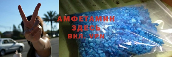 индика Абаза
