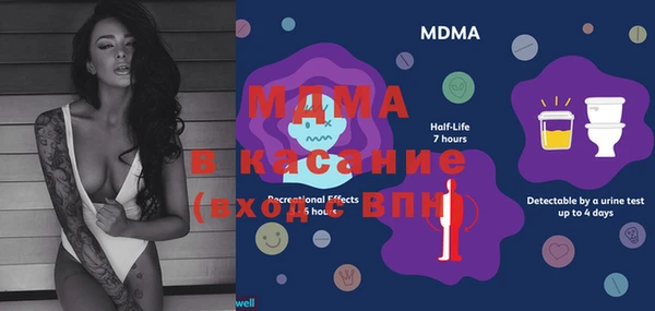 индика Абаза