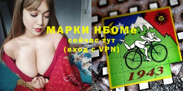 индика Абаза
