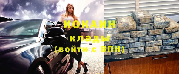 индика Абаза