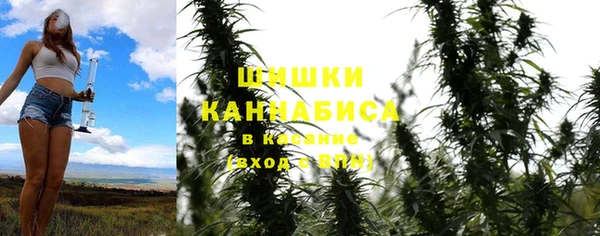 сатива Алексеевка