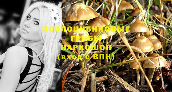 индика Абаза