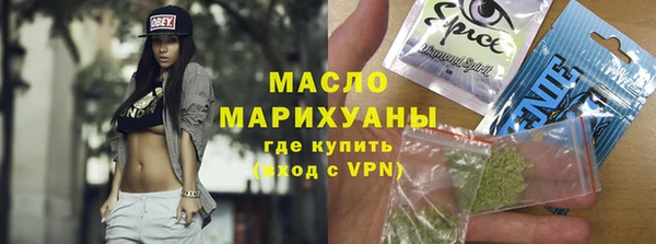 индика Абаза
