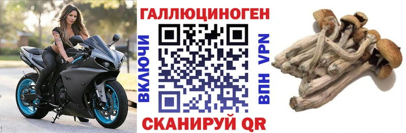 Галлюциногенные грибы мицелий  закладки  Фёдоровский 